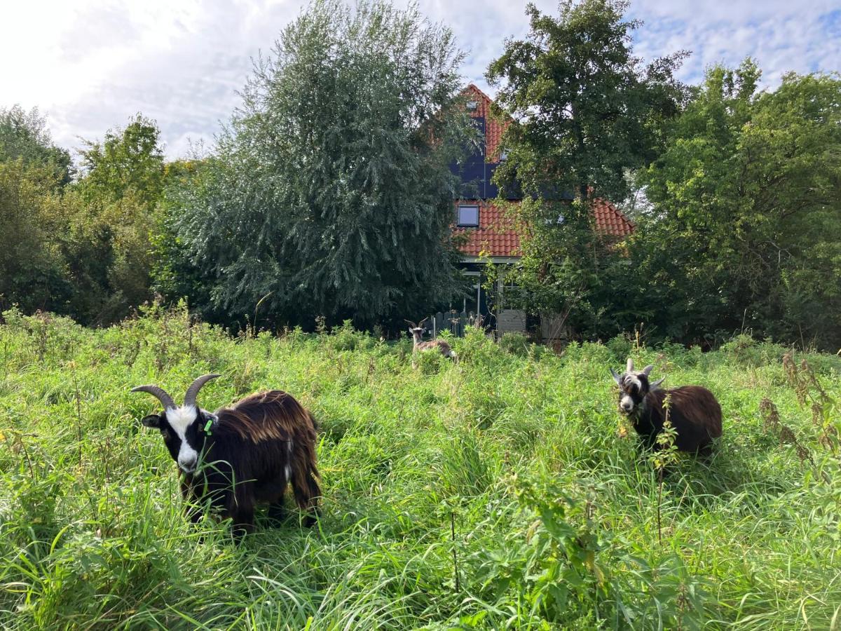 Inn Het Nest Amszterdam Kültér fotó