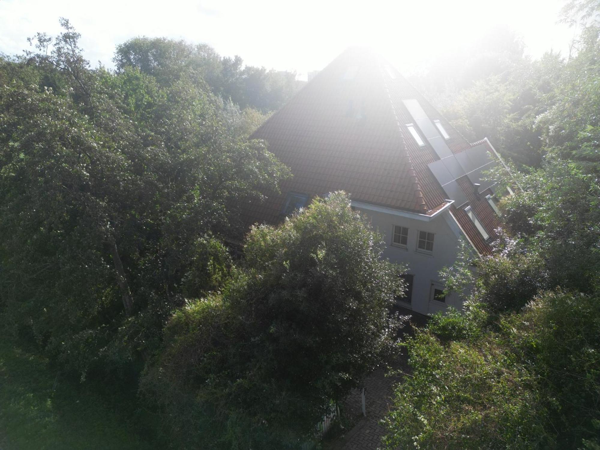 Inn Het Nest Amszterdam Kültér fotó